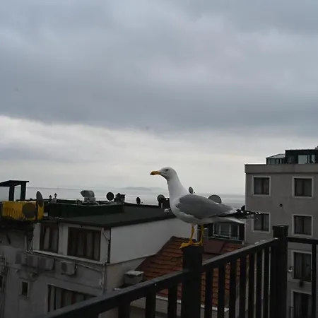 Bluealbatros Hotel